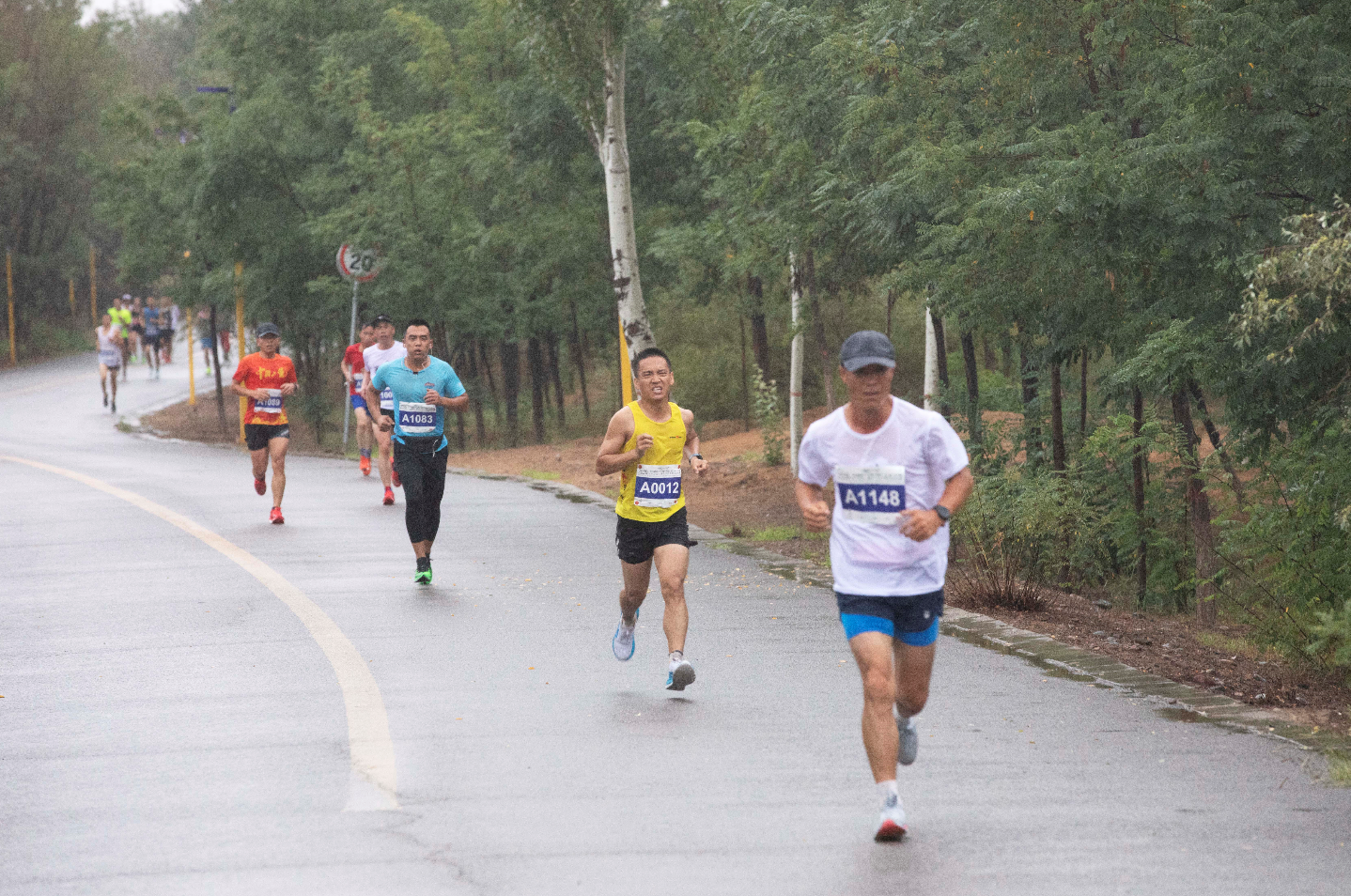 新加坡渣打馬拉松取消實體跑道改線上舉行- 國際- 點新聞