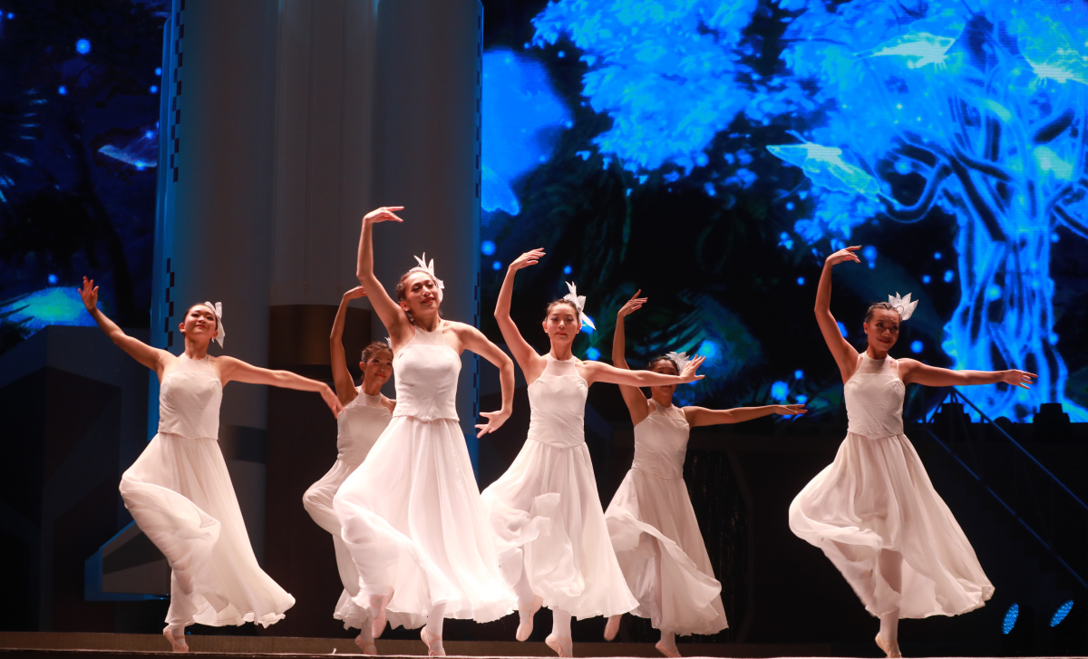 多位知名紅星及不同團體支持參與演出，以音樂、舞蹈、歌唱等形式為觀眾獻上精彩表演，為香港注入正能量。（點新聞記者攝）