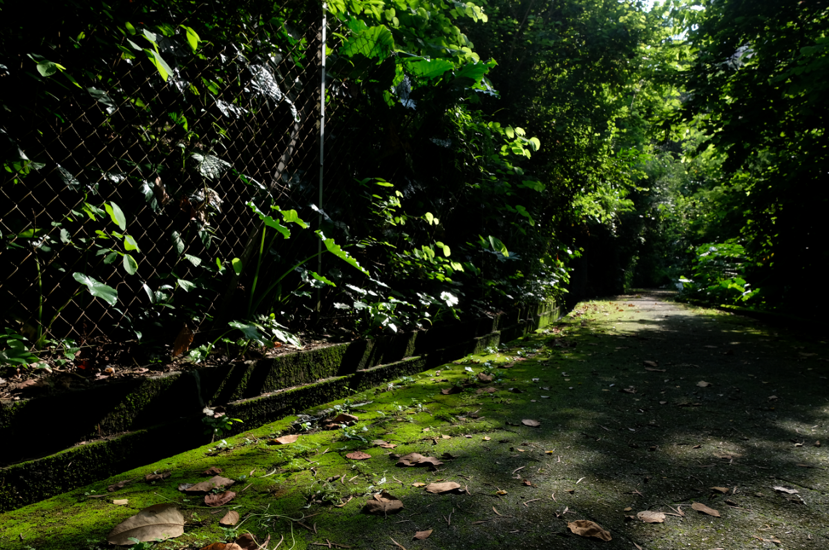 葵涌公園周邊設施，包括出入口通道，同樣被荒廢了20年。（點新聞記者麥鈞傑攝）