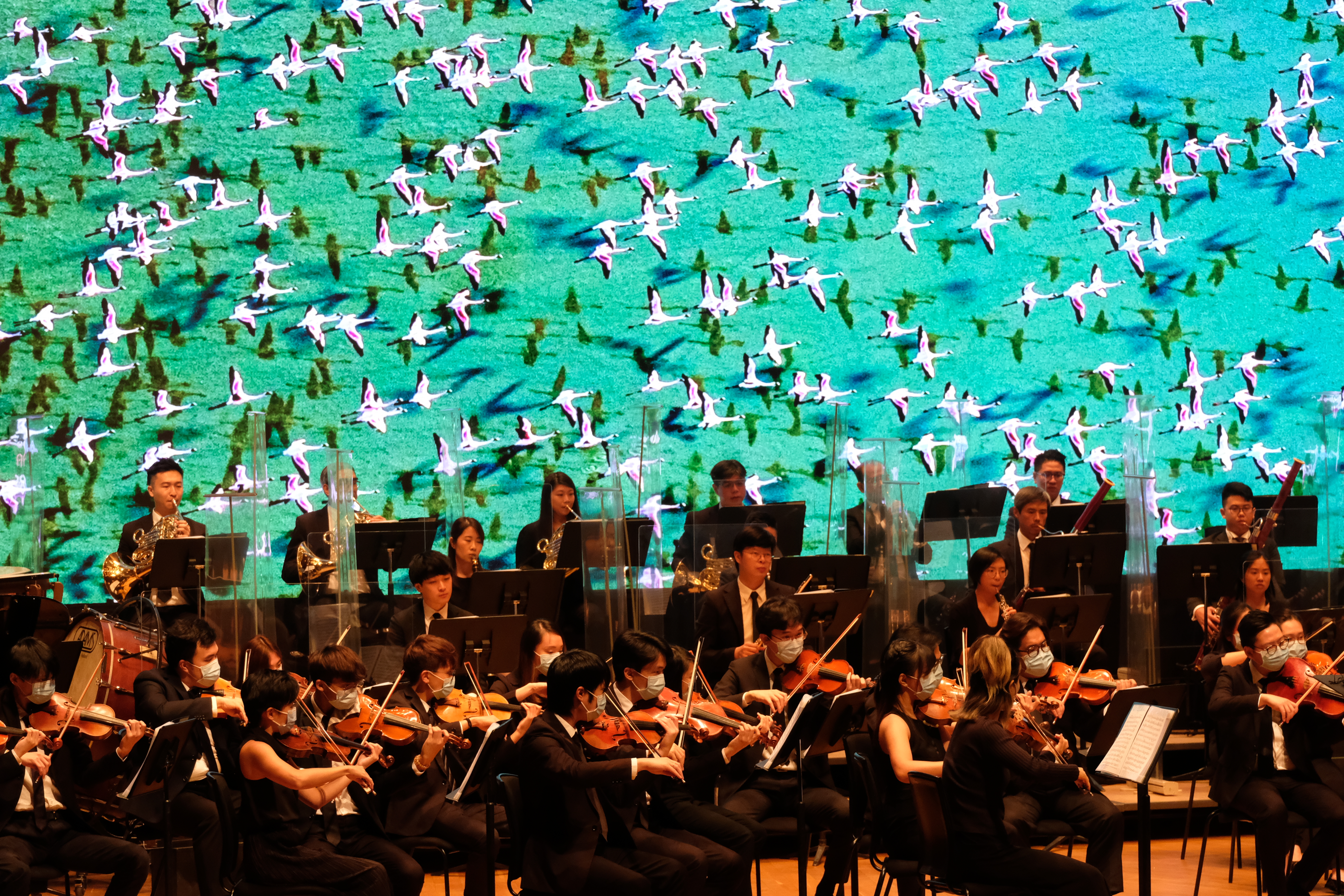 圖為香港文聯成立典禮暨音樂會現場。（點新聞記者麥鈞傑攝）