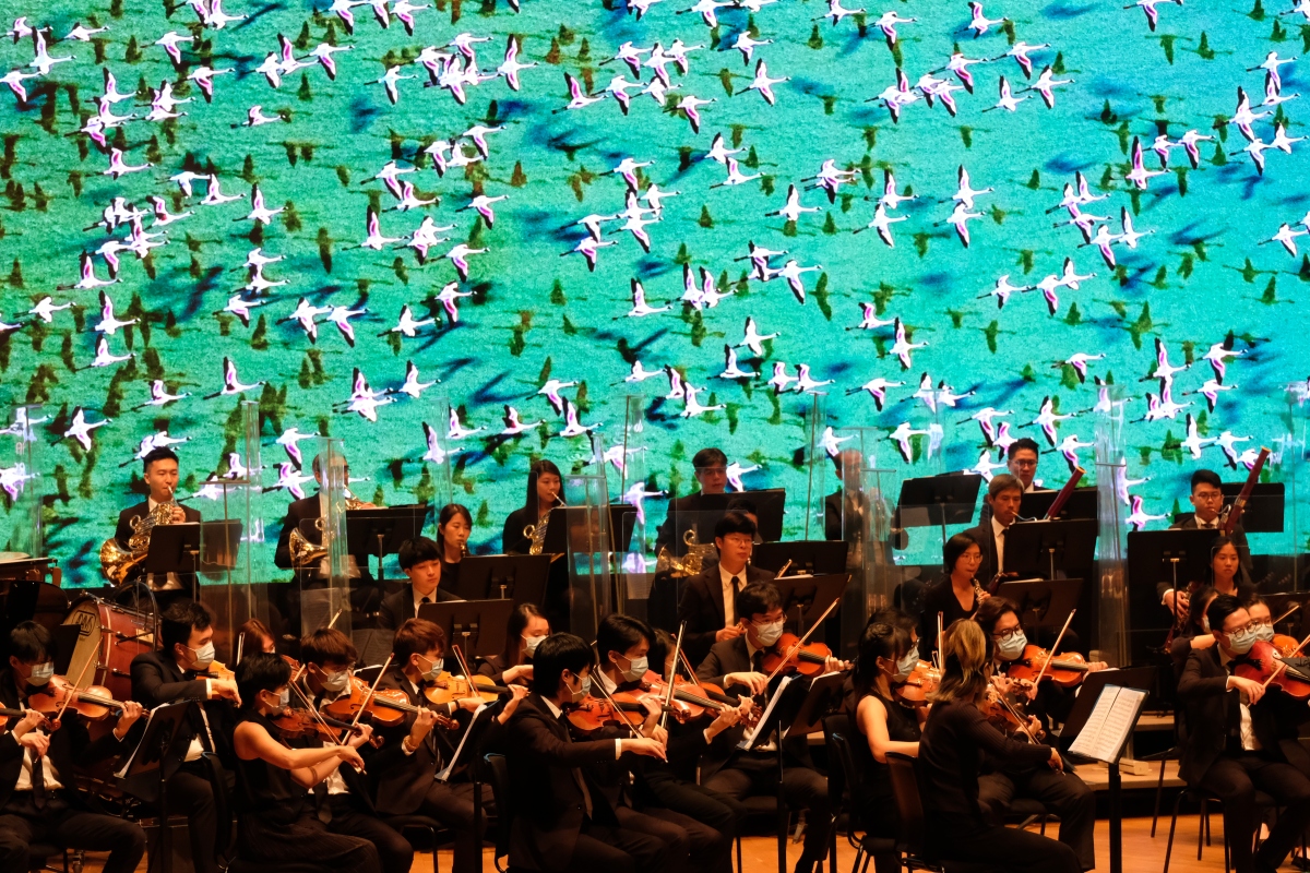 圖為香港文聯成立典禮暨音樂會現場。（點新聞記者麥鈞傑攝）