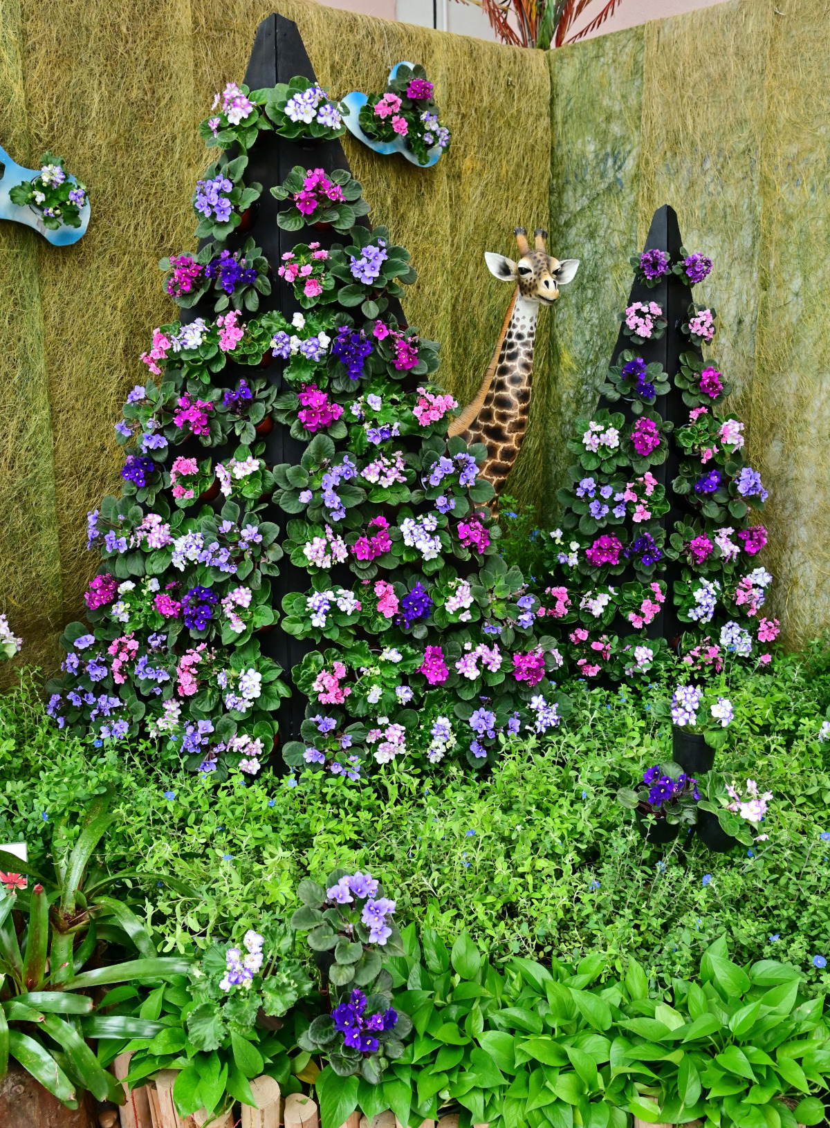 展覽由12月1日至明年1月10日，每日上午9時至下午5時在中區紅棉路19號香港公園霍士傑溫室舉行，免費入場，歡迎市民參觀。