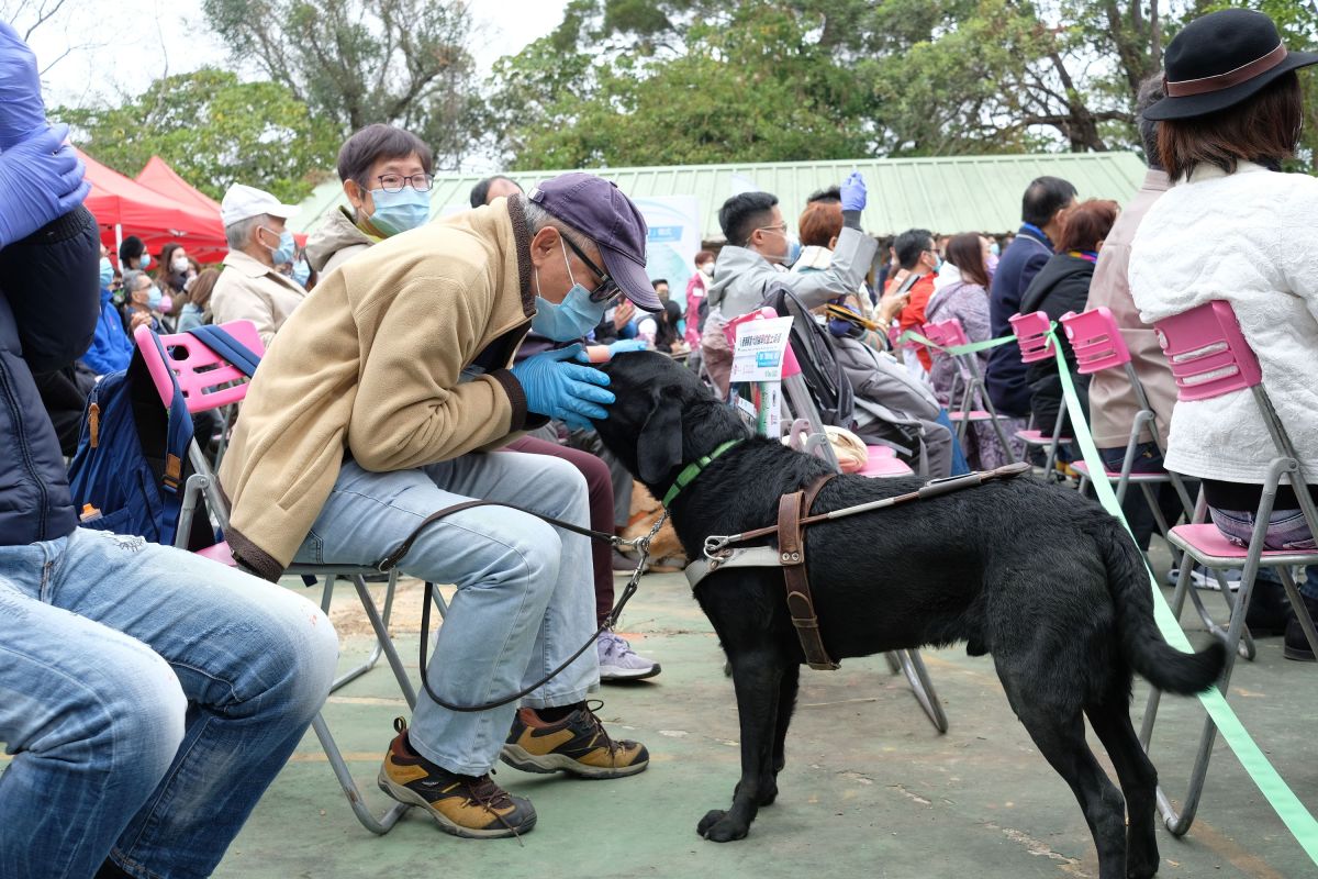 張偉民說，中心之前引入及培訓的18隻導盲犬，已進駐視障人士的家居，協助他們應付日常生活需要，提供心靈慰藉。（點新聞記者麥鈞傑攝）