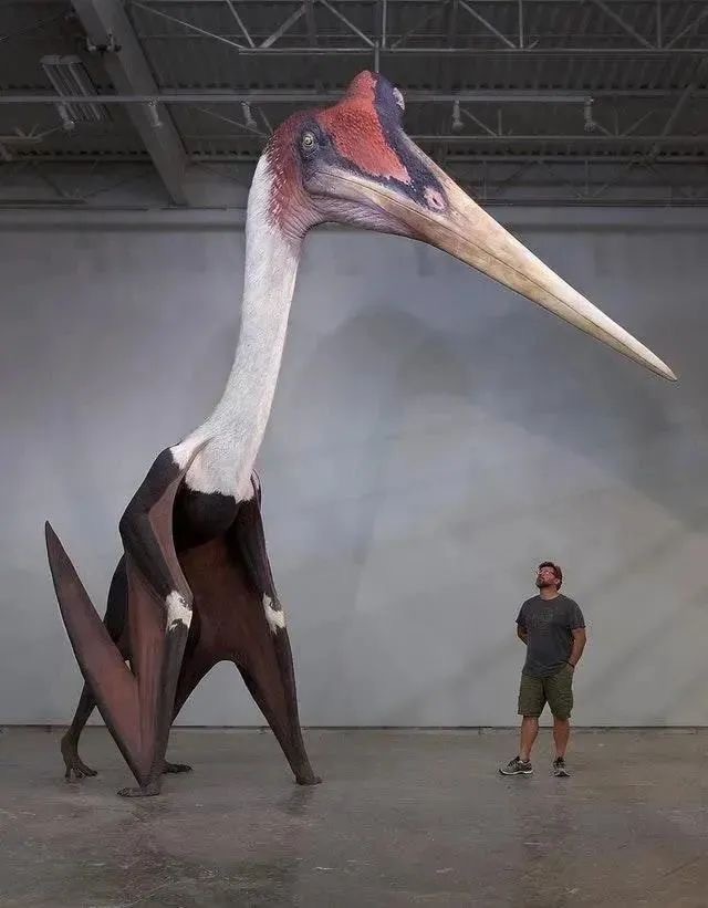 Kamikaze pterosaurs vs. humans, fortunately, the dinosaurs are extinct! (Internet)
