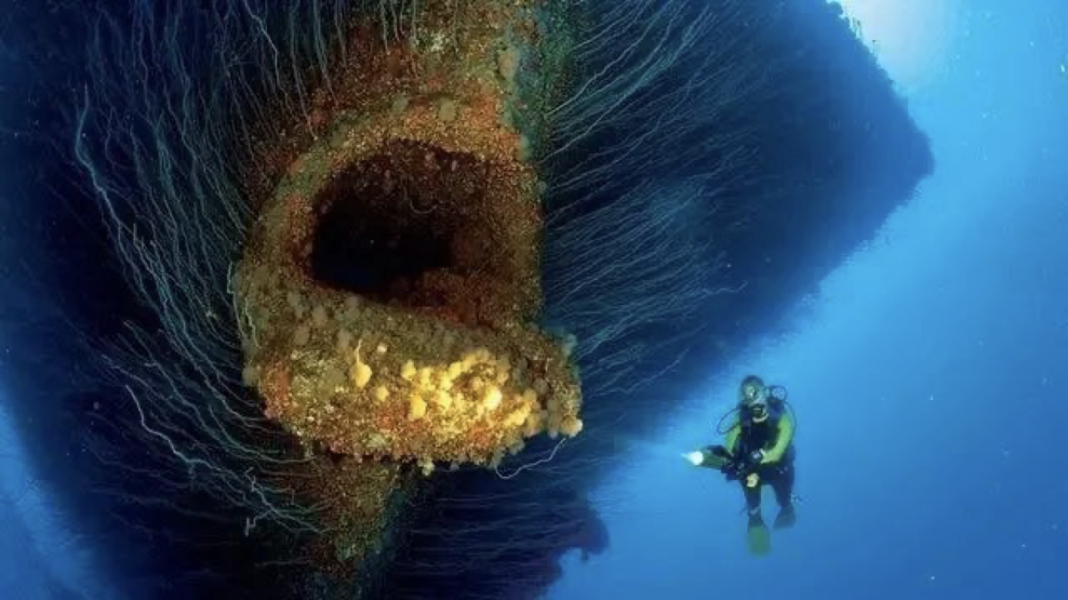 Divers vs. Undersea wrecks (Internet)