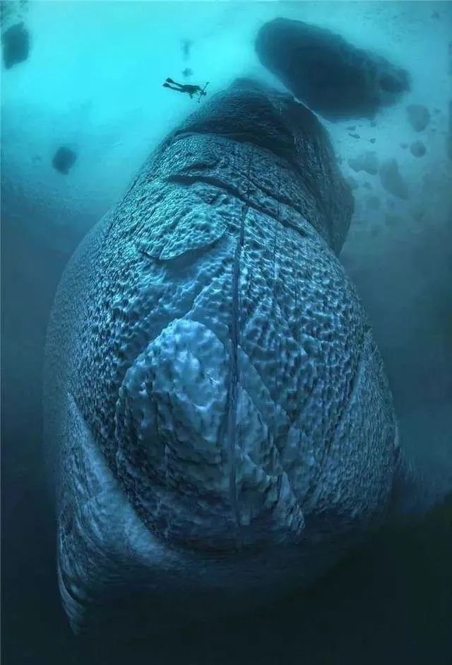 Underwater icebergs (Internet)