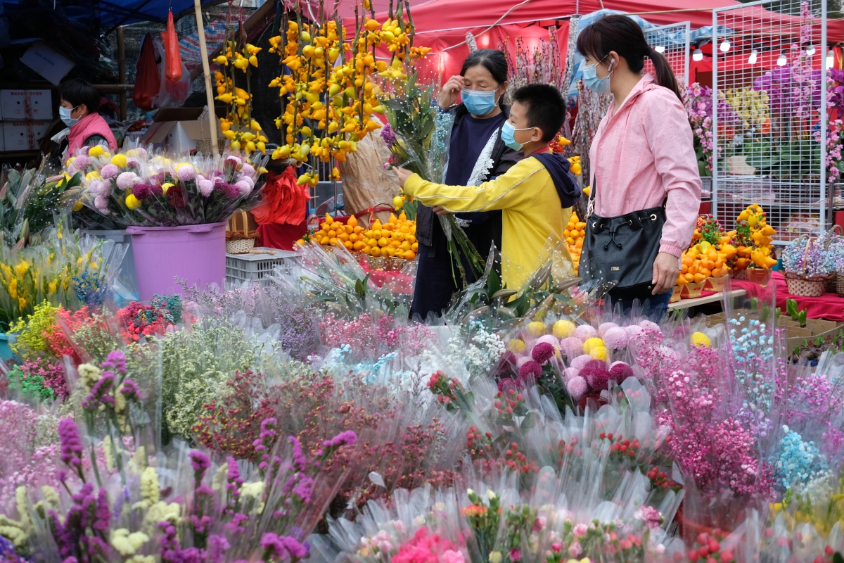 牛年年宵花市6日開鑼，在全港15個地點舉行。新冠肺炎疫情下，人潮雖不及往年，但今日（9日）仍有不少市民到花市閒逛，開心揀選桃花、蘭花、年桔等好意頭的植物，為家居添彩。（點新聞記者麥鈞傑攝）