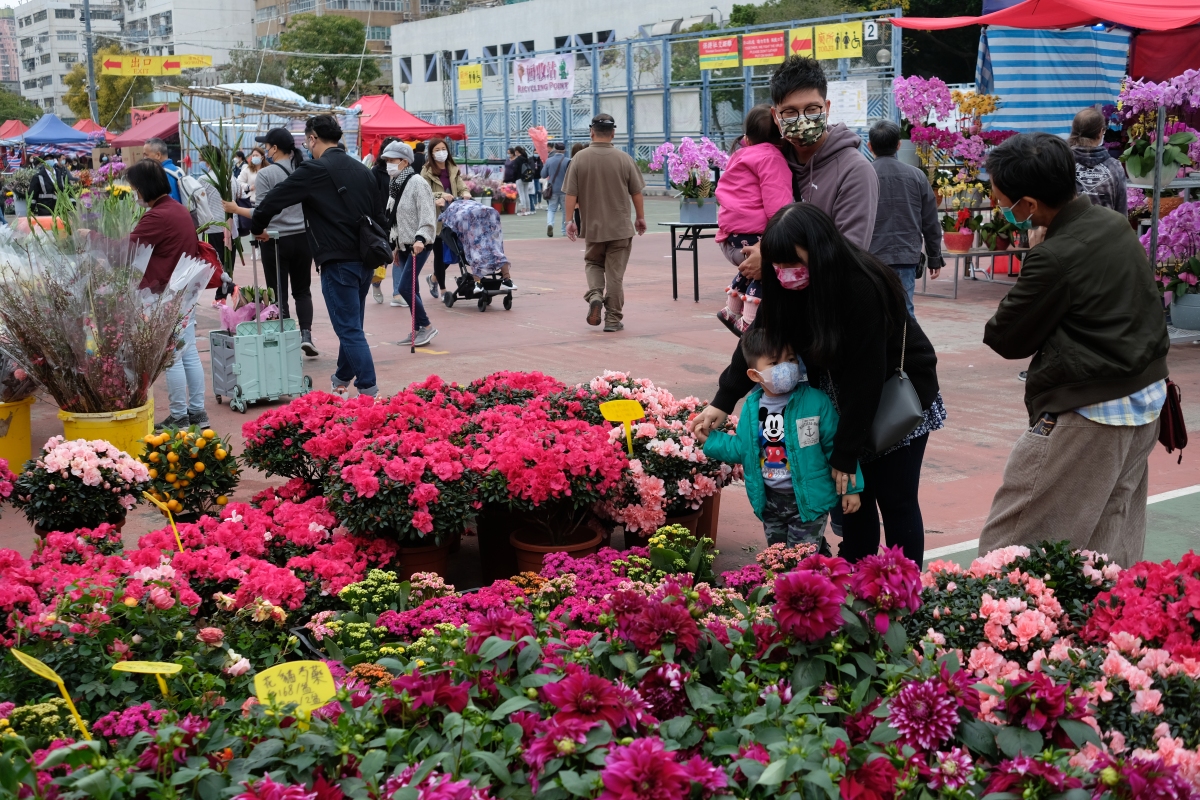 牛年年宵花市6日開鑼，在全港15個地點舉行。新冠肺炎疫情下，人潮雖不及往年，但今日（9日）仍有不少市民到花市閒逛，開心揀選桃花、蘭花、年桔等好意頭的植物，為家居添彩。（點新聞記者麥鈞傑攝）