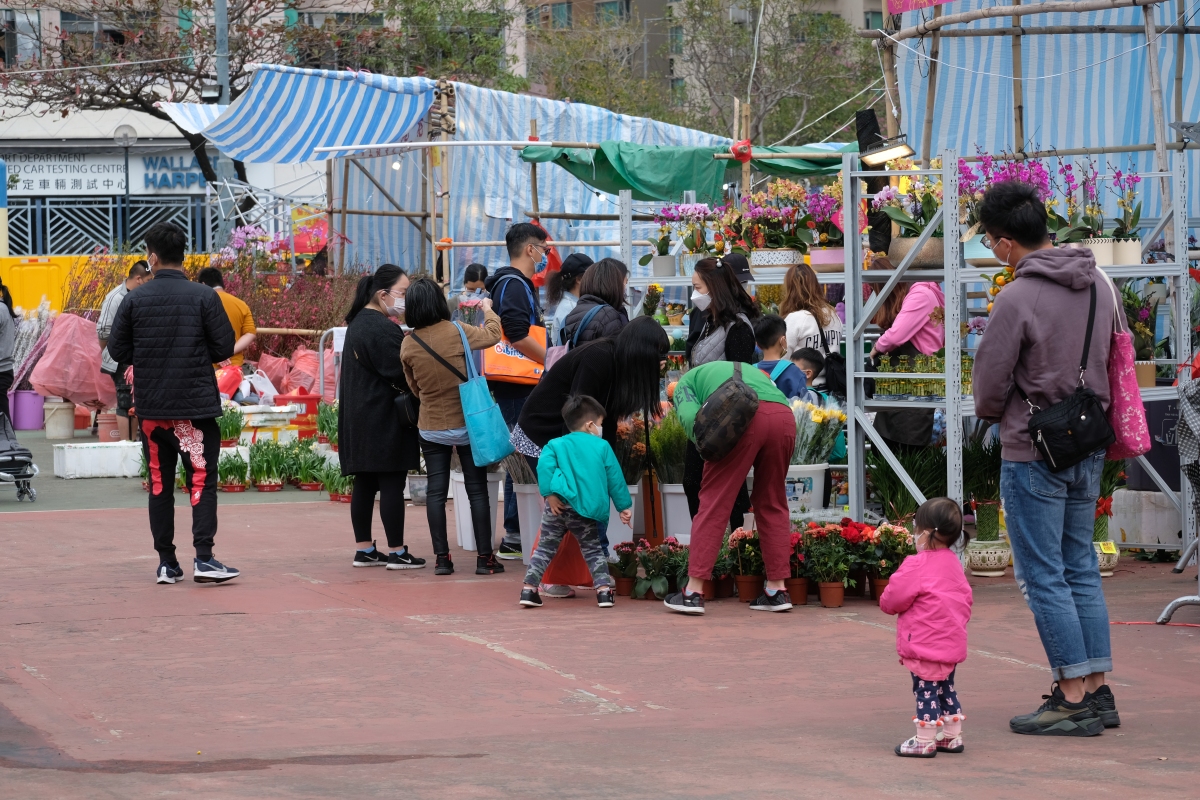 牛年年宵花市6日開鑼，在全港15個地點舉行。新冠肺炎疫情下，人潮雖不及往年，但今日（9日）仍有不少市民到花市閒逛，開心揀選桃花、蘭花、年桔等好意頭的植物，為家居添彩。（點新聞記者麥鈞傑攝）