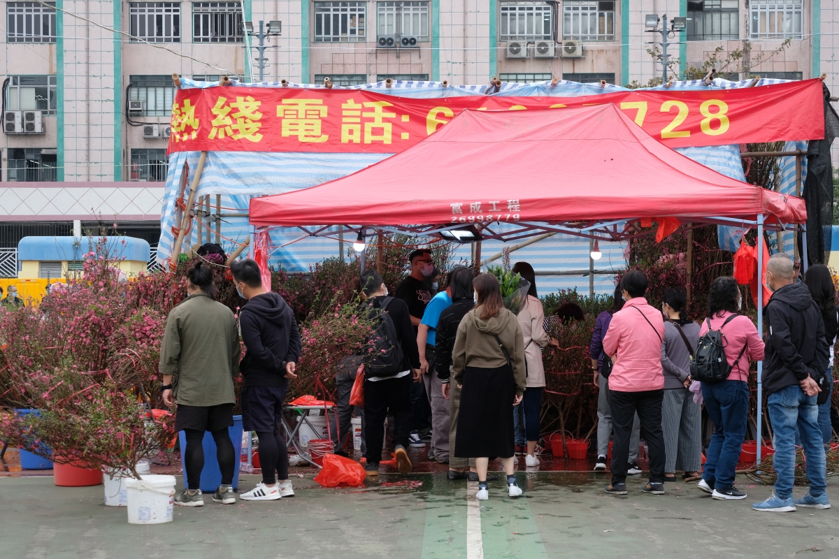 牛年年宵花市6日開鑼，在全港15個地點舉行。新冠肺炎疫情下，人潮雖不及往年，但今日（9日）仍有不少市民到花市閒逛，開心揀選桃花、蘭花、年桔等好意頭的植物，為家居添彩。（點新聞記者麥鈞傑攝）