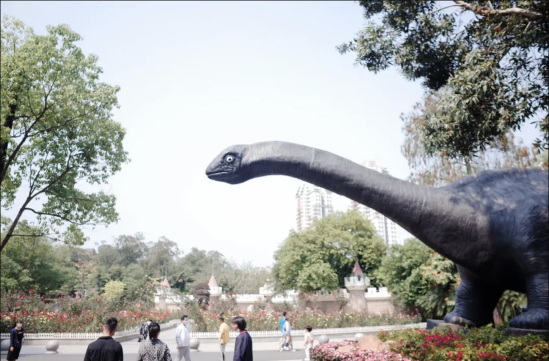 作為全國十佳動物園之一的廣州動物園，不僅有國家一類重點保護動物大熊貓、金絲猴、黑頸鶴等35種，還能在此見到一些憑實力出名的「奇葩動物」！（圖為園區入口處長頸龍的「凝視」）