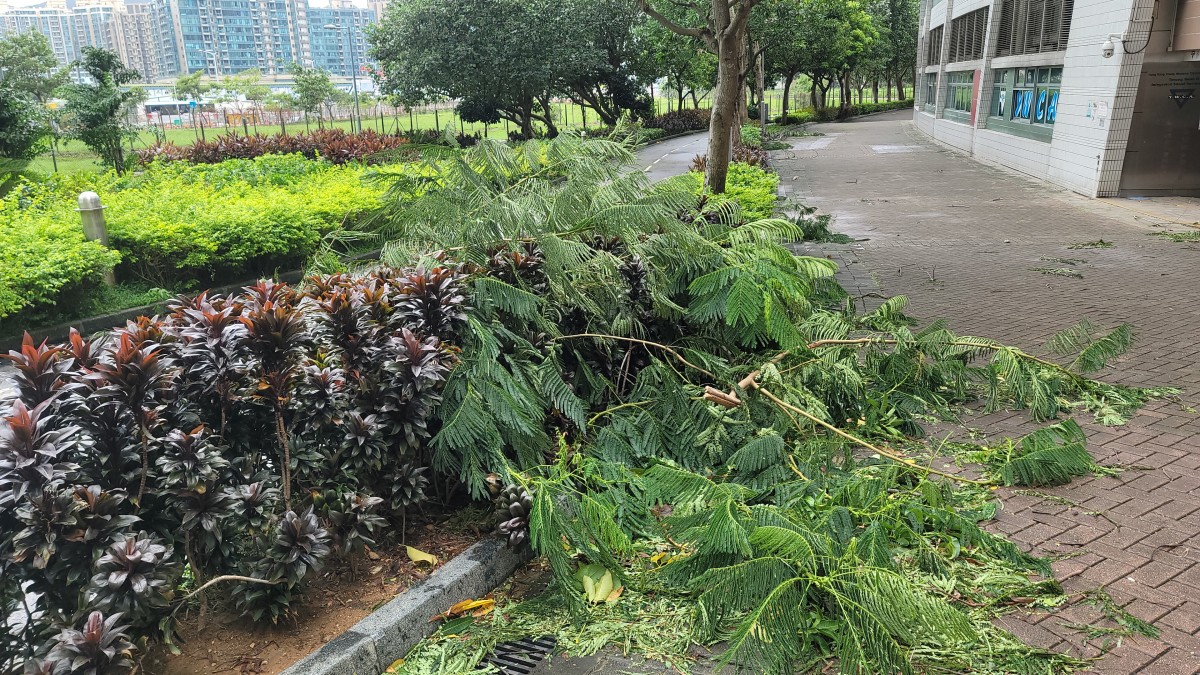 China Allocates 200m Yuan Disaster Relief Fund For Typhoon hit Regions china-allocates-200m-yuan-disaster-relief-fund-for-typhoon-hit-regions