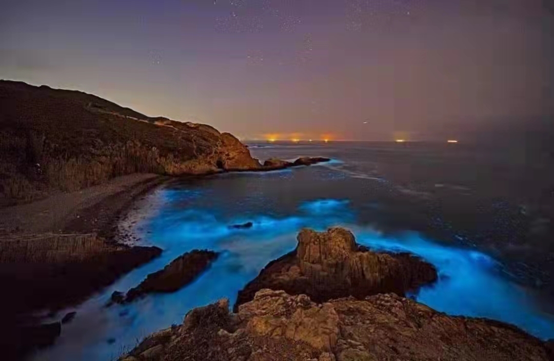 A Bioluminescent Bloom in Hong Kong - The Atlantic