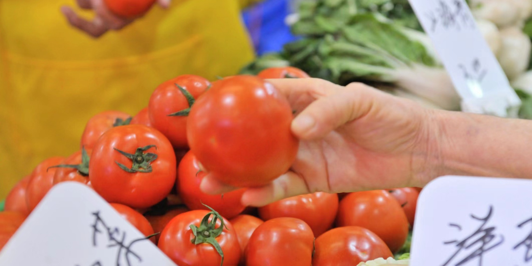 港珠澳現代農業示範園7月投產　年產7000噸優質果蔬供灣區
