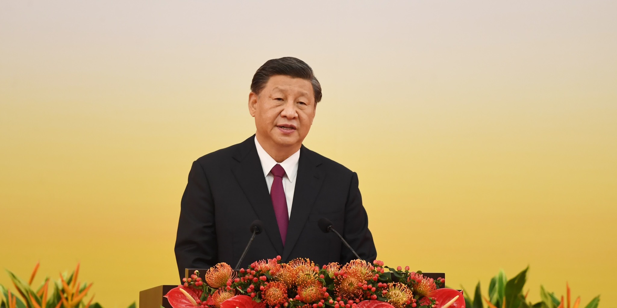 （有片）習近平：要特別關心關愛香港青年人　協助解決就業置業等實際困難
