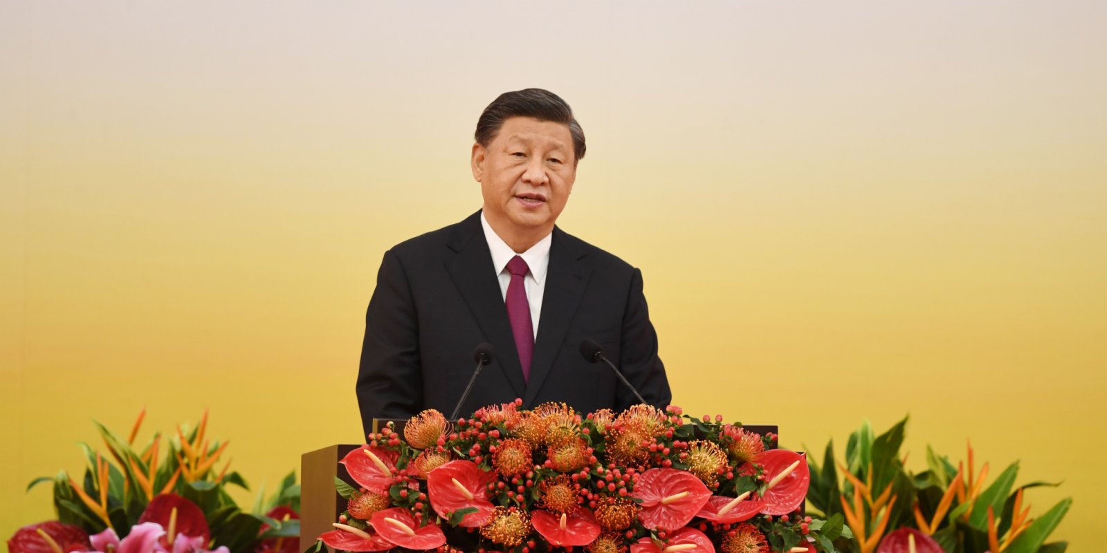HK should keep strengthening momentum of development: Xi