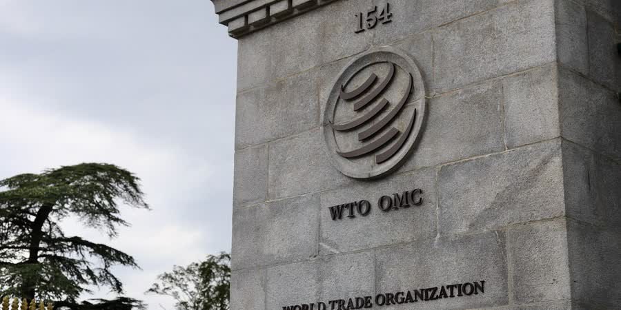 China ready to promote WTO reform with other G20 members