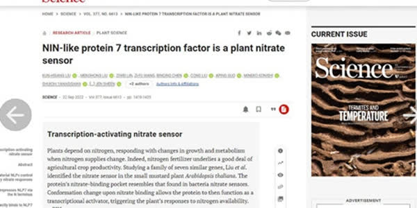 Chinese-led study discovers plants use key protein to sense nitrate