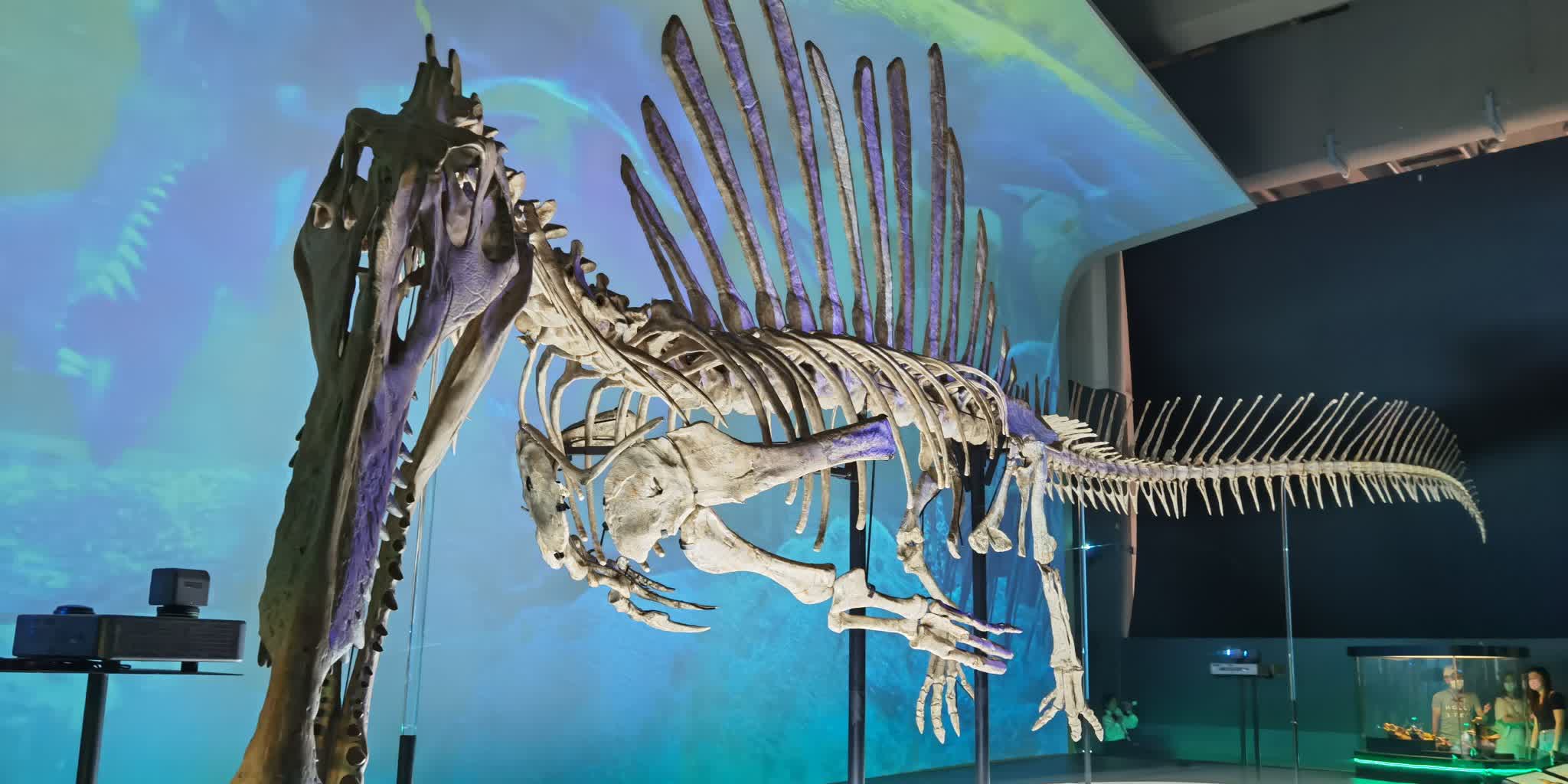 反應熱烈　科學館恐龍展延長至明年2月