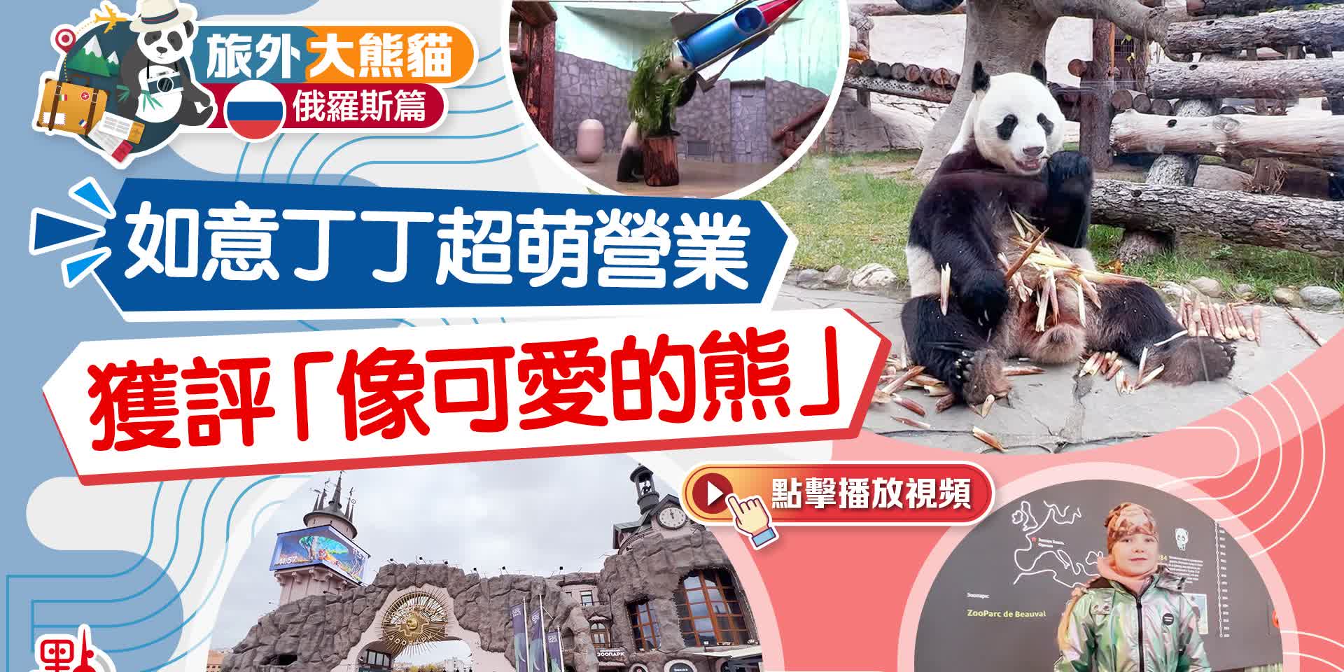 旅外大熊貓·俄羅斯篇｜如意丁丁超萌營業　獲評「像可愛的熊」