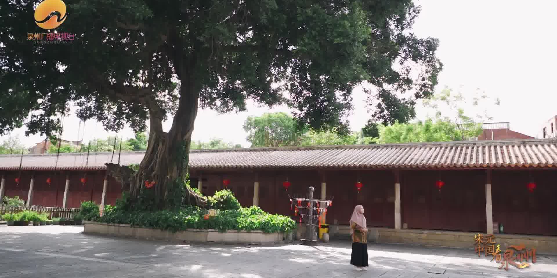 Watch This | 'Feeling power of great thinker': Indonesian girl hears teachings across time in Confucius Temple