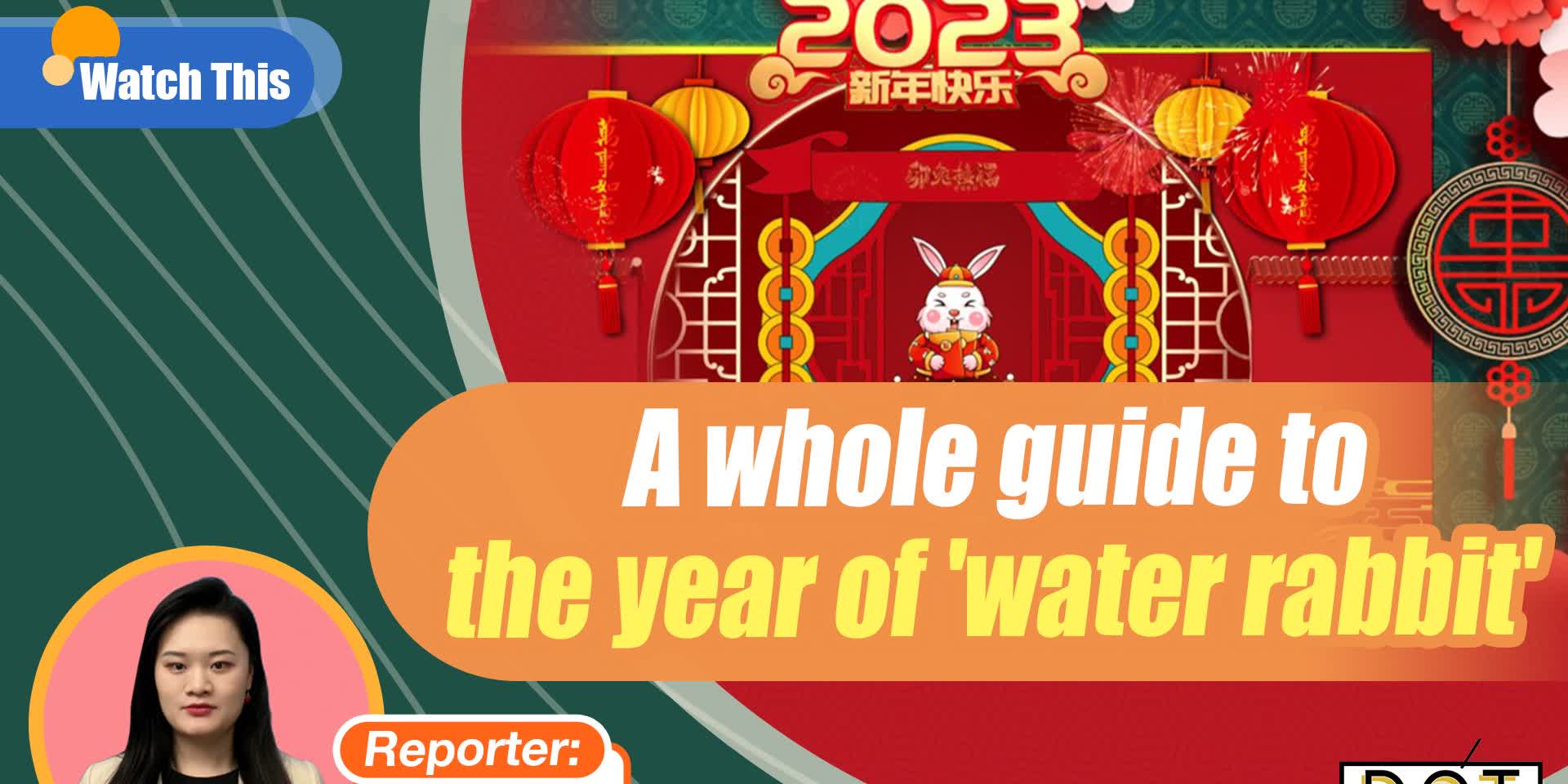 Watch This | A whole guide to the year of 'water rabbit'