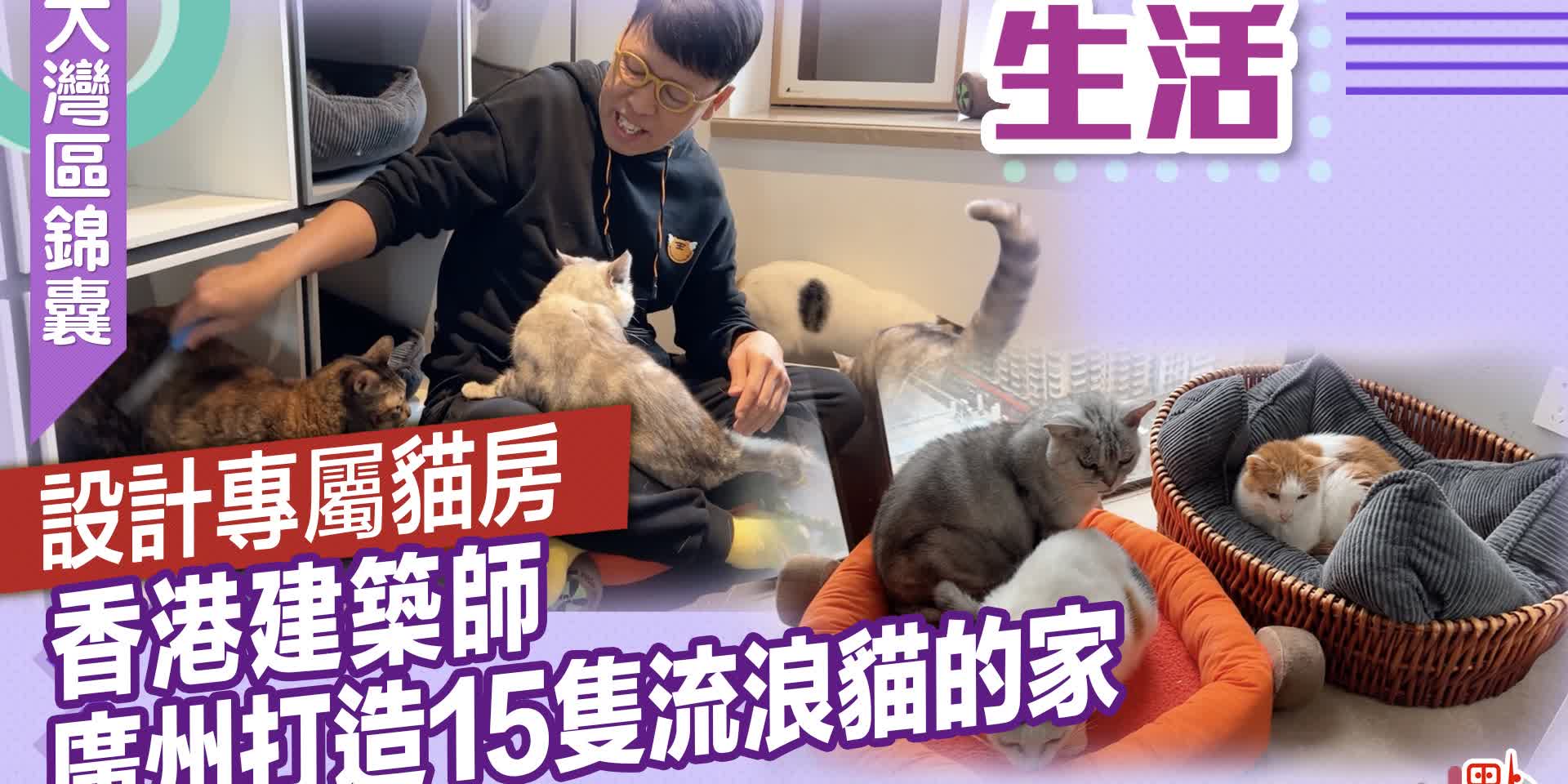 大灣區錦囊·生活｜設計專屬貓房　香港建築師廣州打造15隻流浪貓的家