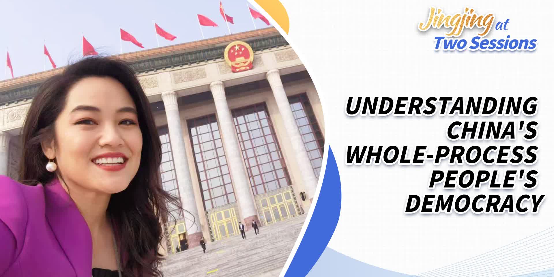 Two Sessions | (Vlog) Understanding China's Whole-process People's ...