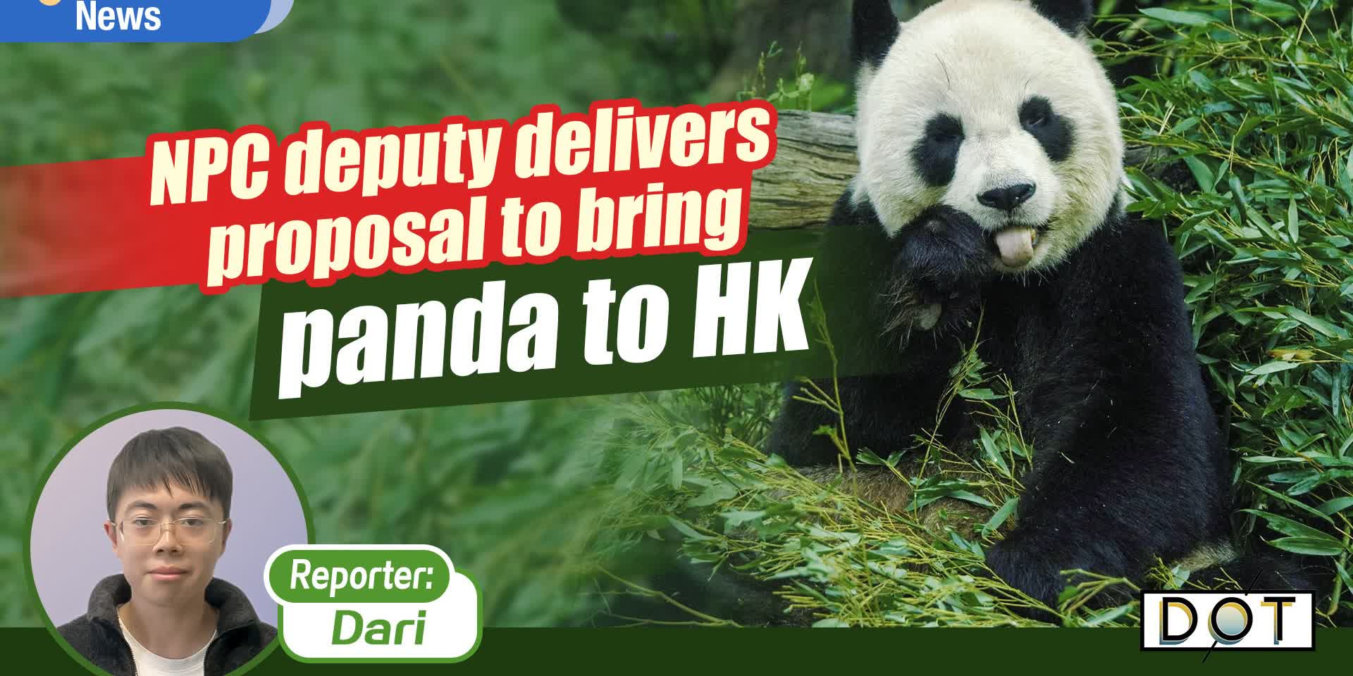 1-minute News | NPC deputy delivers proposal to bring panda to HK