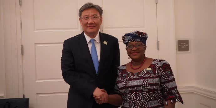 Wang Wentao meets with WTO director-general