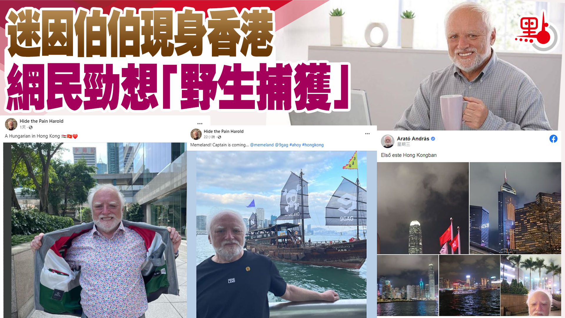 迷因伯伯現身香港打卡網民勁想「野生捕獲」 - 生活- 點新聞