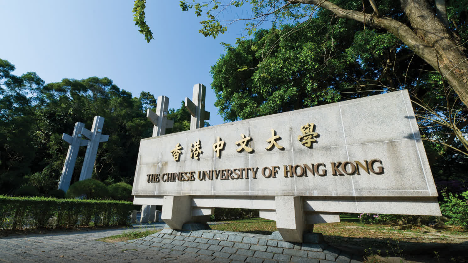 糖尿患者高風險有心血管疾病 中大發現13標誌物助及早識別 - 港聞 - 點新聞