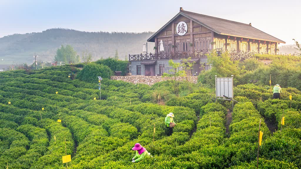 Travel more: Huanglongxian Village - beautiful countryside of tranquility
