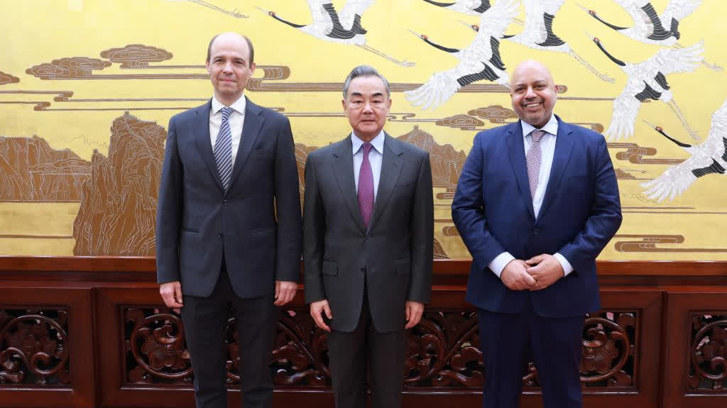 Chinese FM meets co-chairs of negotiations on UNSC reform