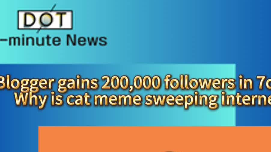 1-minute News | Blogger gains 200,000 followers in 7days: Why is cat meme sweeping internet?