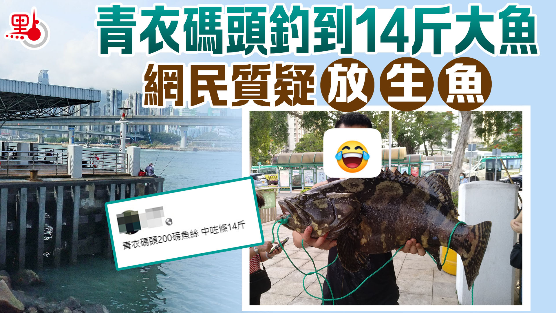 青衣碼頭釣到14斤大魚網民質疑為「放生魚」 - 生活- 點新聞