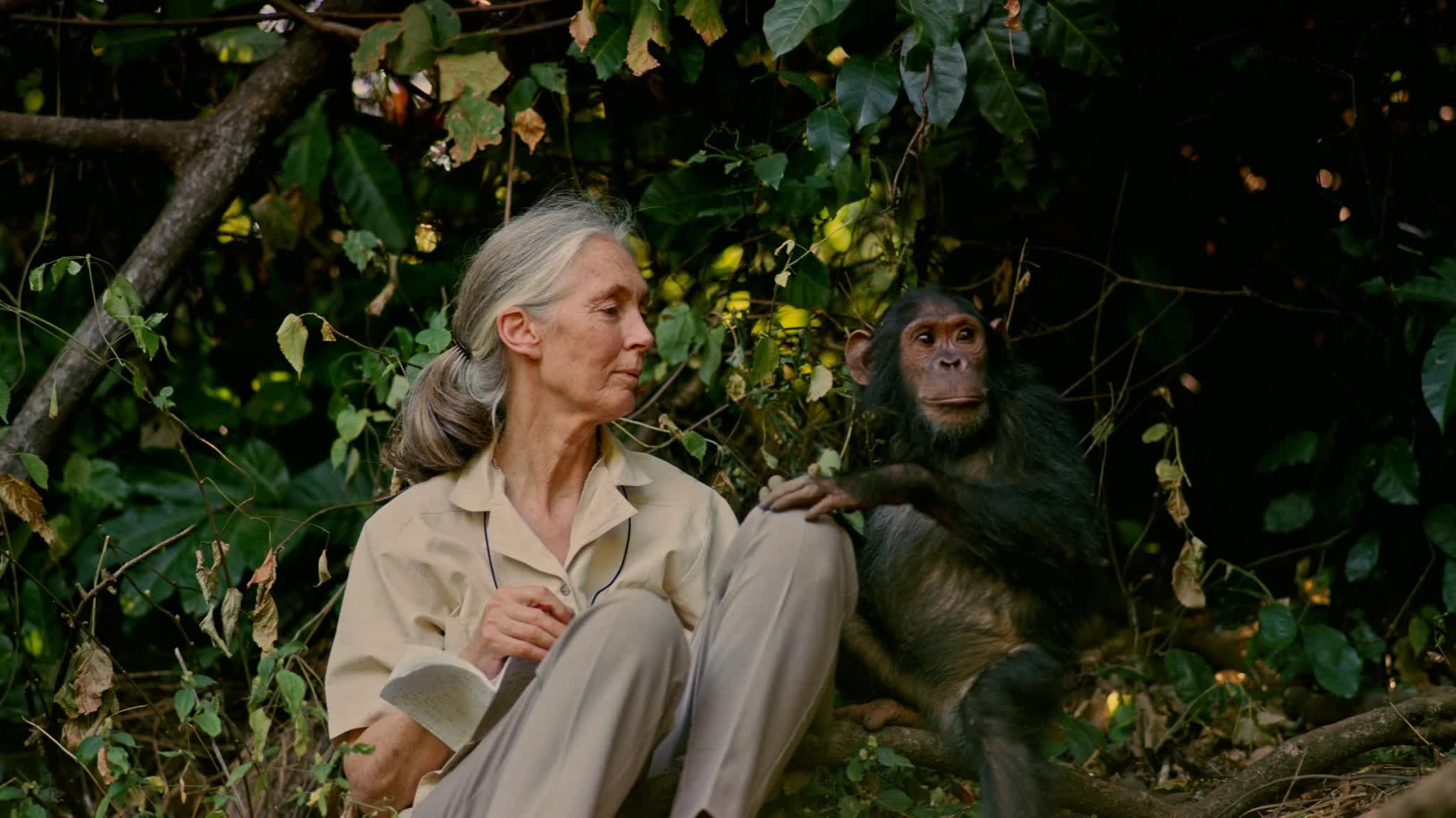 Hong Kong Space Museum to launch new dome show 'Jane Goodall - Reasons for Hope'
