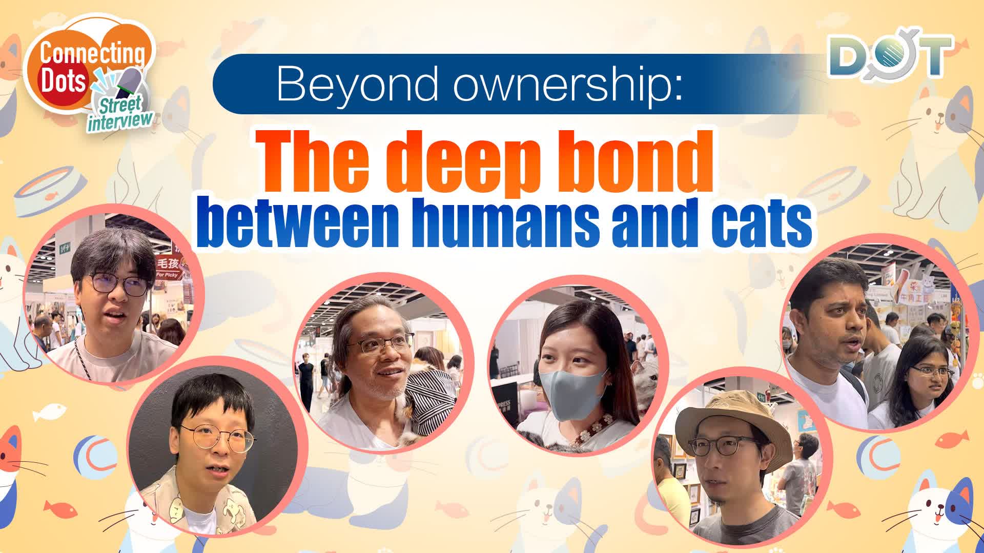 Connecting Dots | Beyond ownership: The deep bond between humans and cats