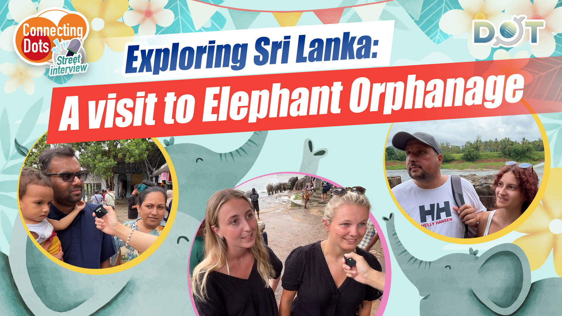 Connecting Dots | Exploring Sri Lanka: A visit to Elephant Orphanage