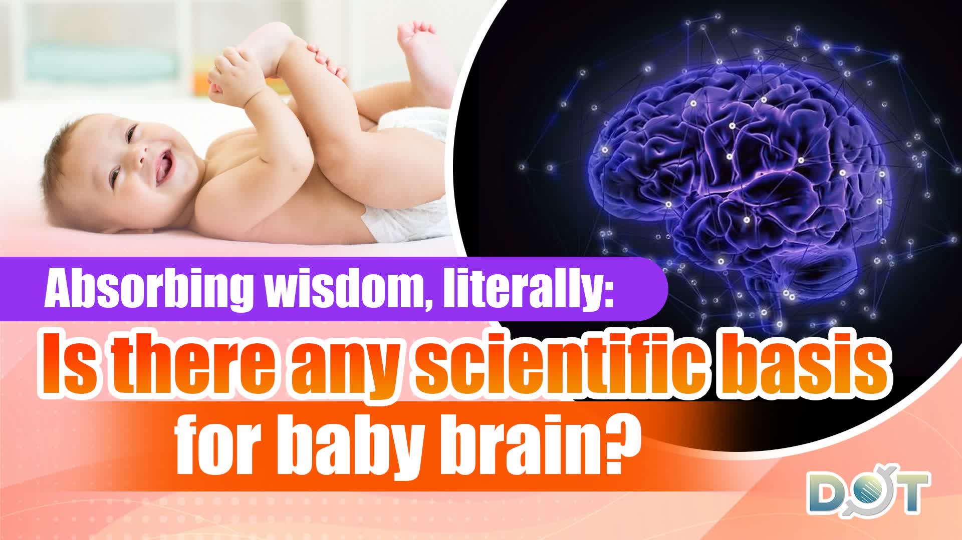 Absorbing wisdom, literally: Is there any scientific basis for baby brain?