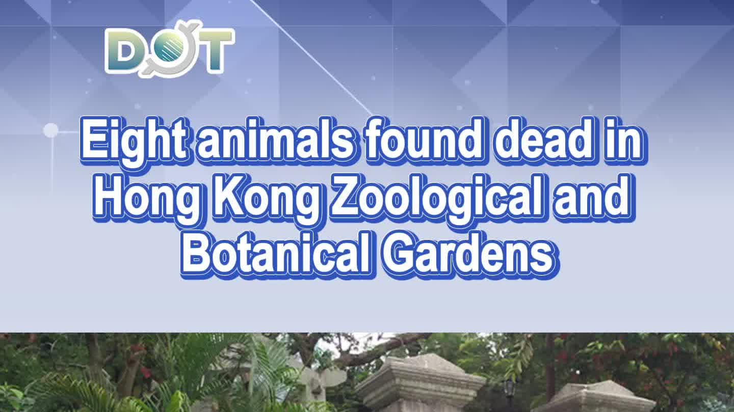 Watch This | LCSD investigates death of animals in HKZBG