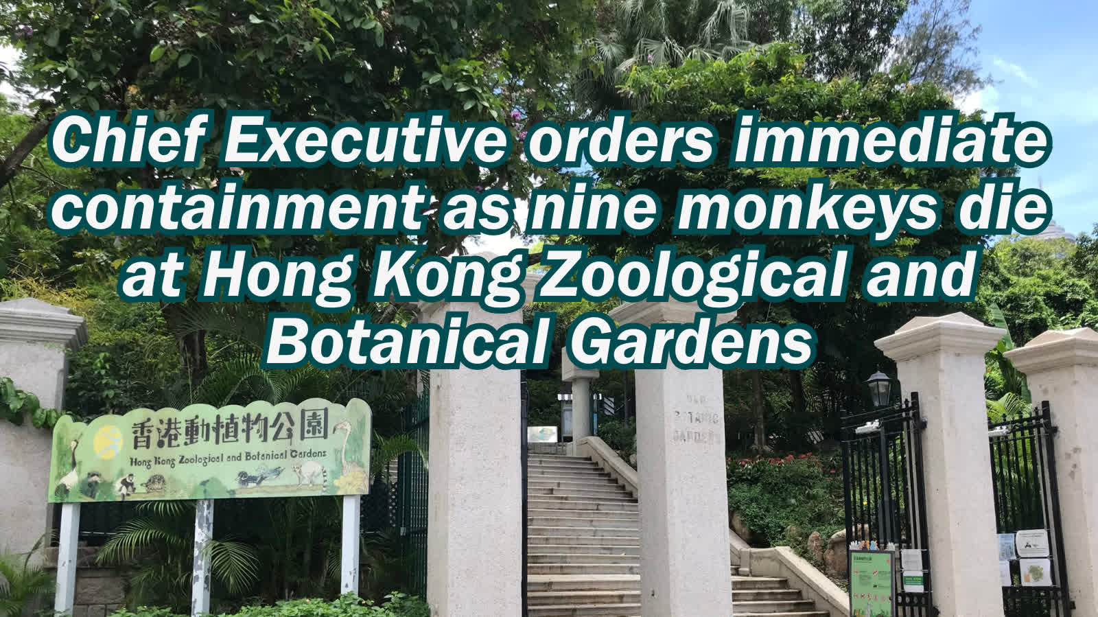 Chief Executive orders immediate containment as nine monkeys die at Hong Kong Zoological and Botanical Gardens