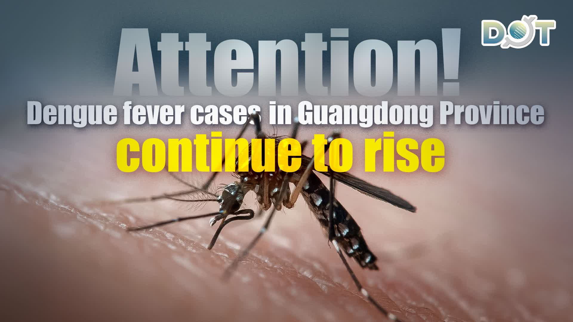 Attention! Dengue fever cases in Guangdong Province continue to rise