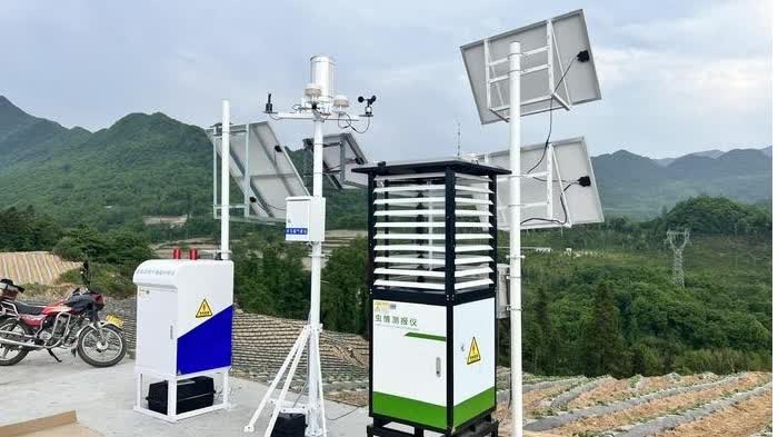 China develops sky-ground intelligent monitoring system for plant pests, diseases