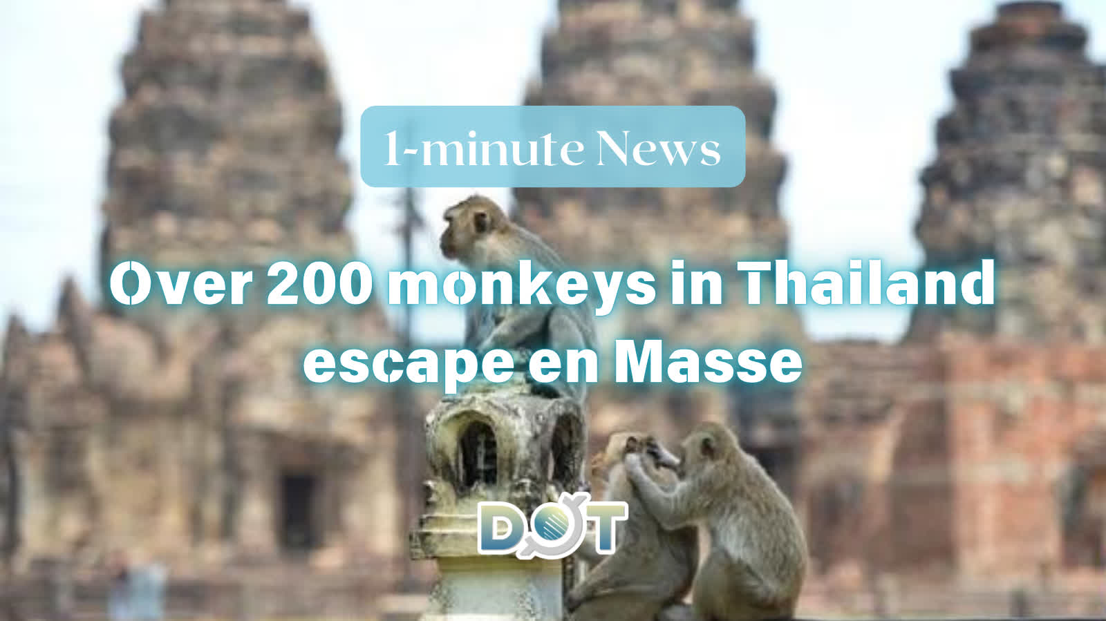 1-minute News | When 'Uproar in Heaven' comes true: Over 200 monkeys in Thailand escape en Masse