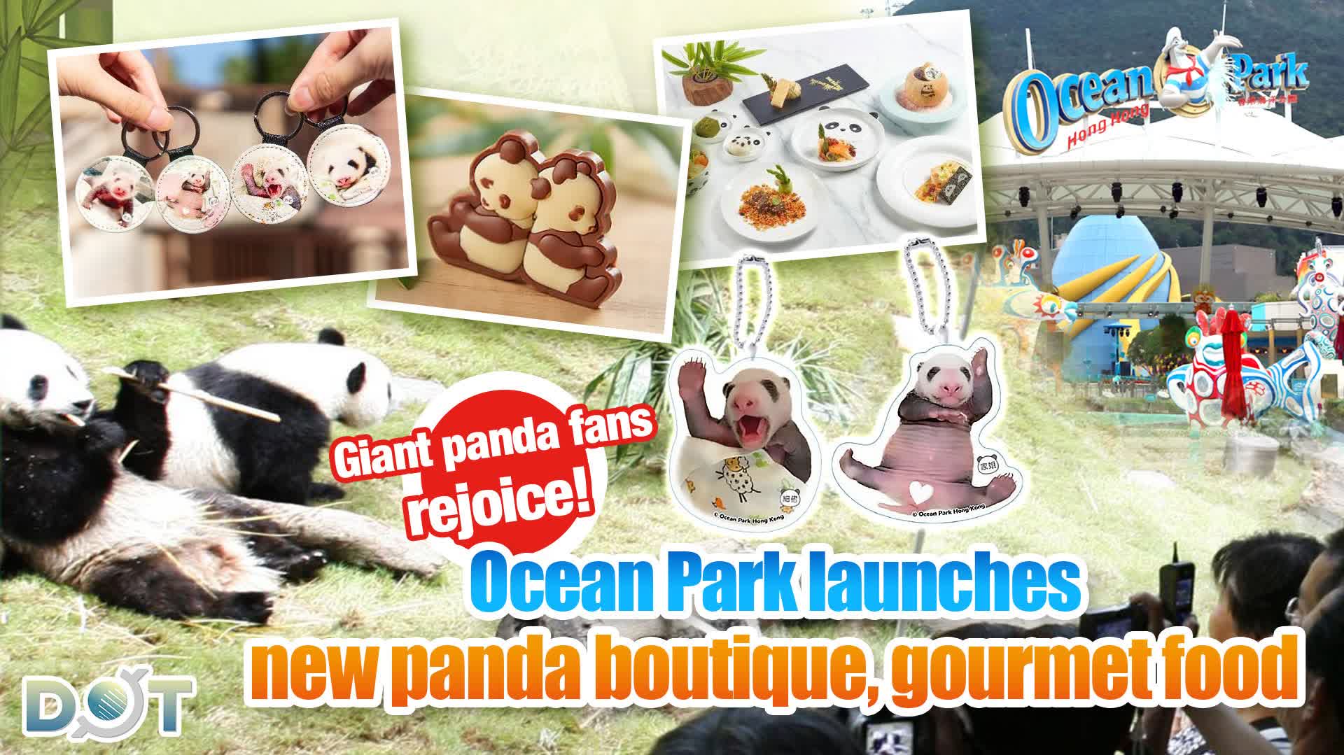 Giant panda fans rejoice! Ocean Park launches new panda boutique, gourmet food