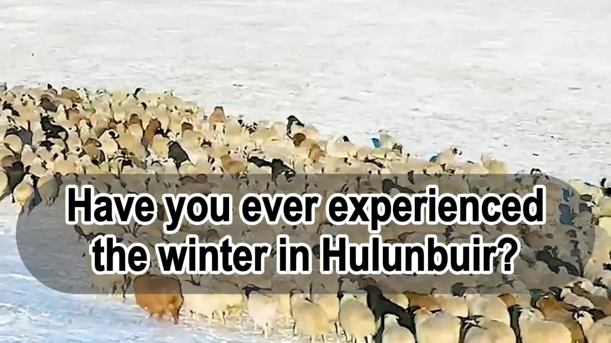 OMG | Hulunbuir's winter: Crystal-clear world of ice