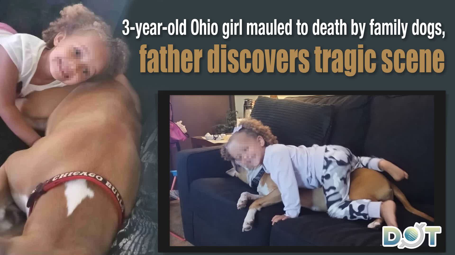 3-year-old Ohio girl mauled to death by family dogs, father discovers ...