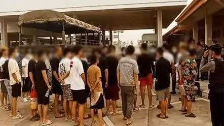 'Selling piglets' | Over 200 victims of human trafficking repatriated from Myanmar telecom fraud park via Chinese charter flight