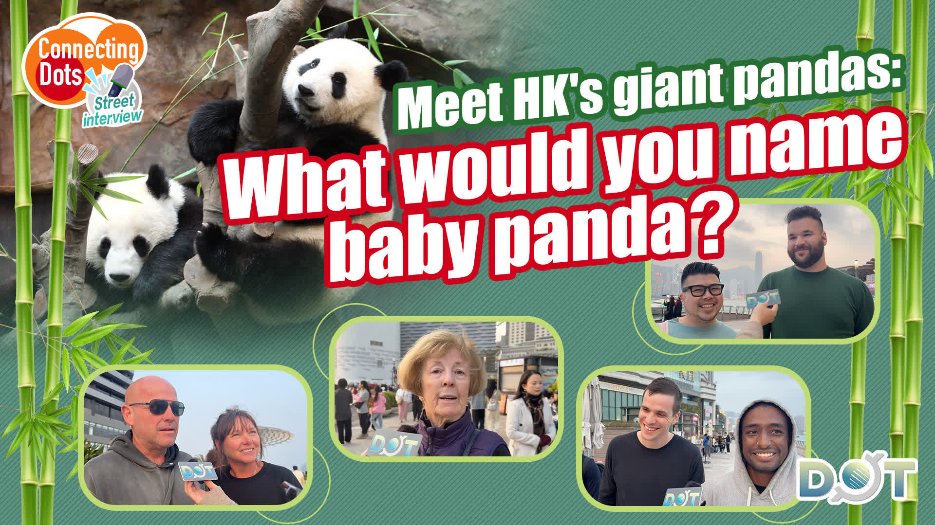 Connecting Dots | Meet HK's giant pandas: What would you name baby panda?